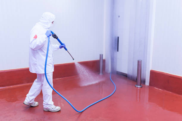 Best Soft Washing  in Arcadia, FL